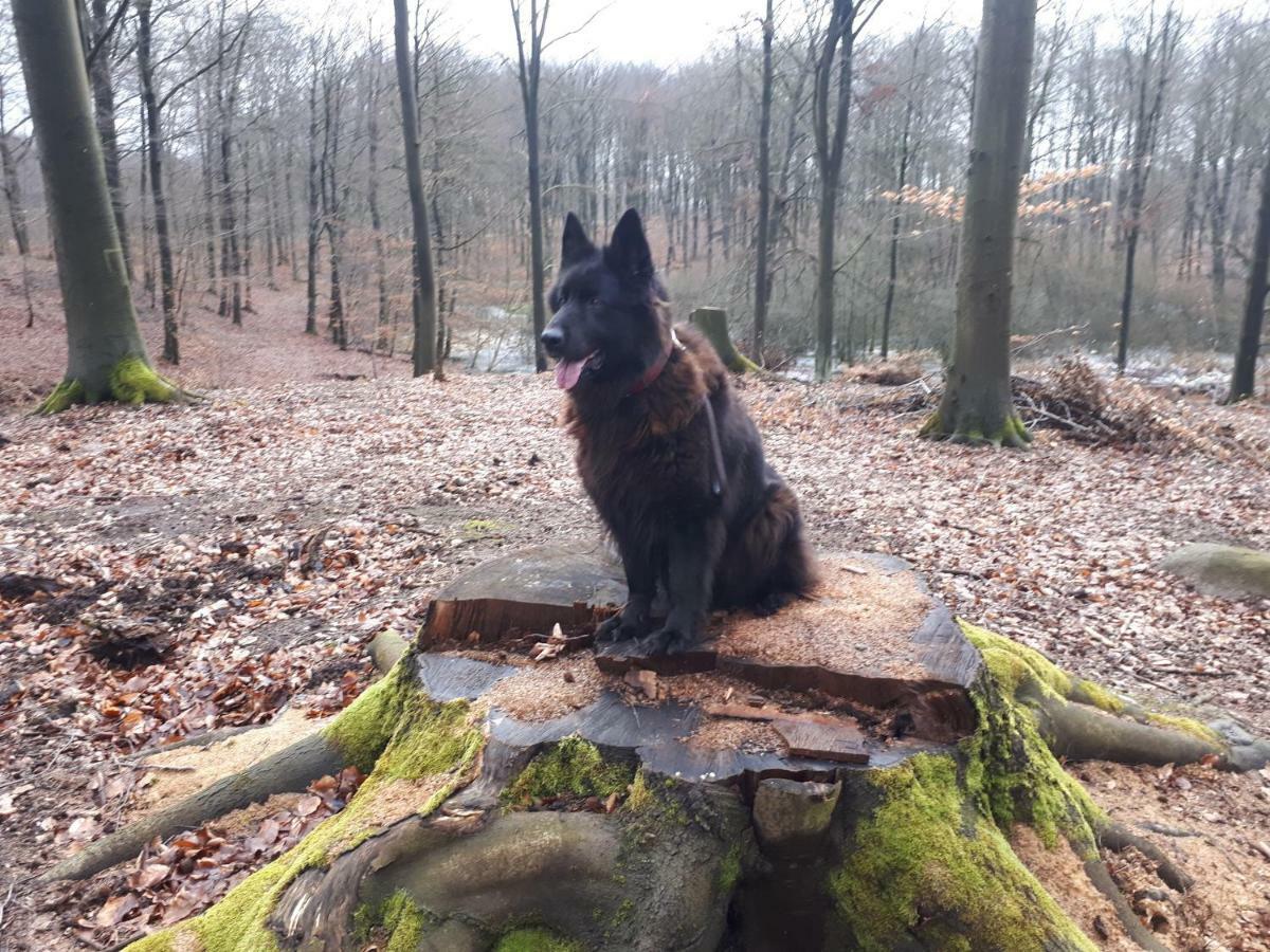 Villa Labadkowo Labedzie Esterno foto