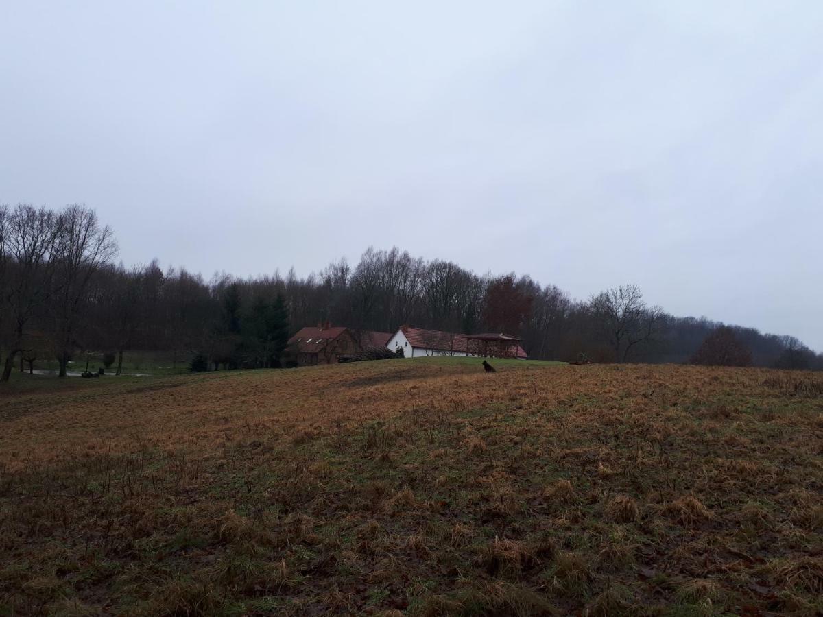 Villa Labadkowo Labedzie Esterno foto