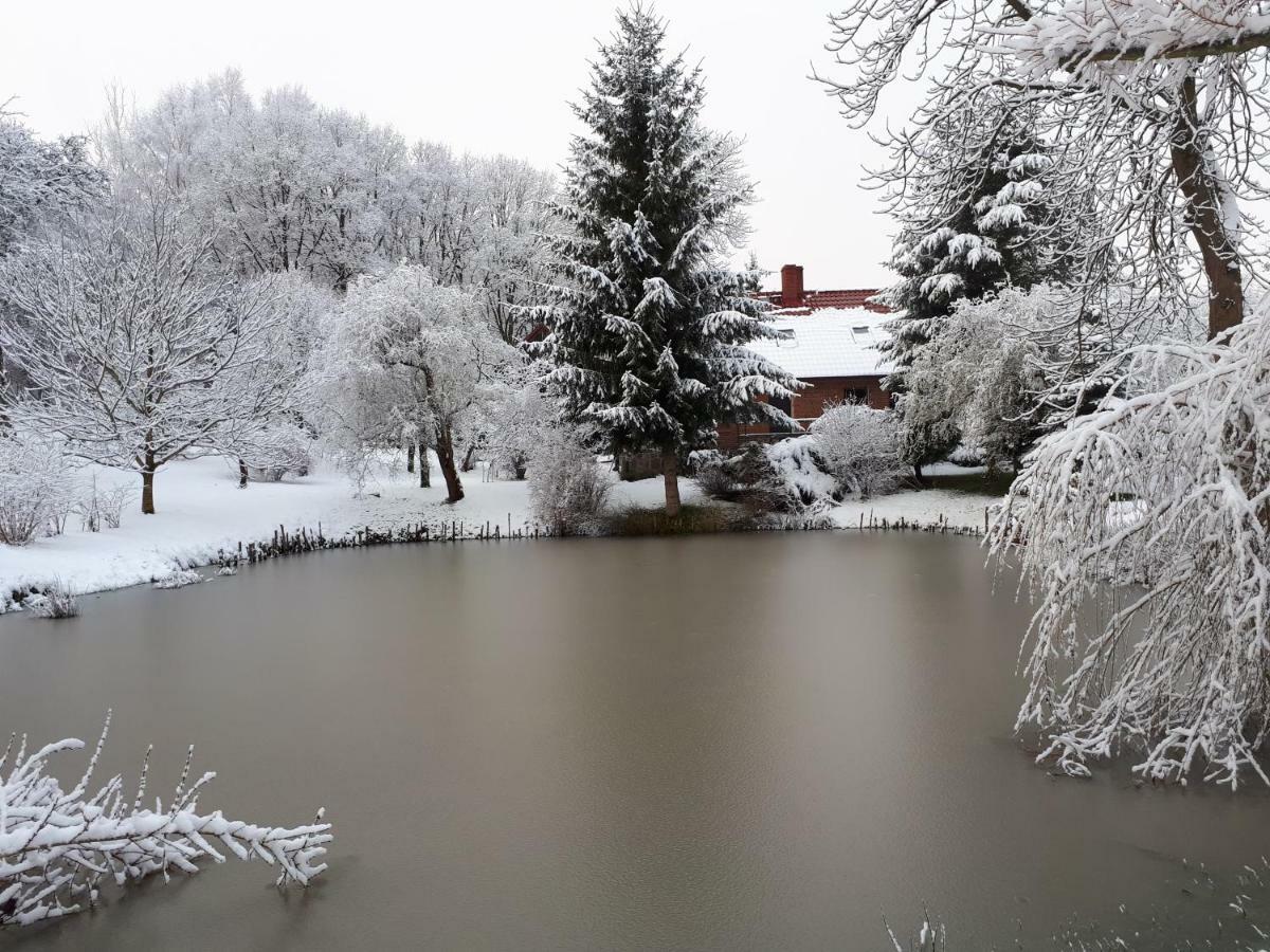 Villa Labadkowo Labedzie Esterno foto