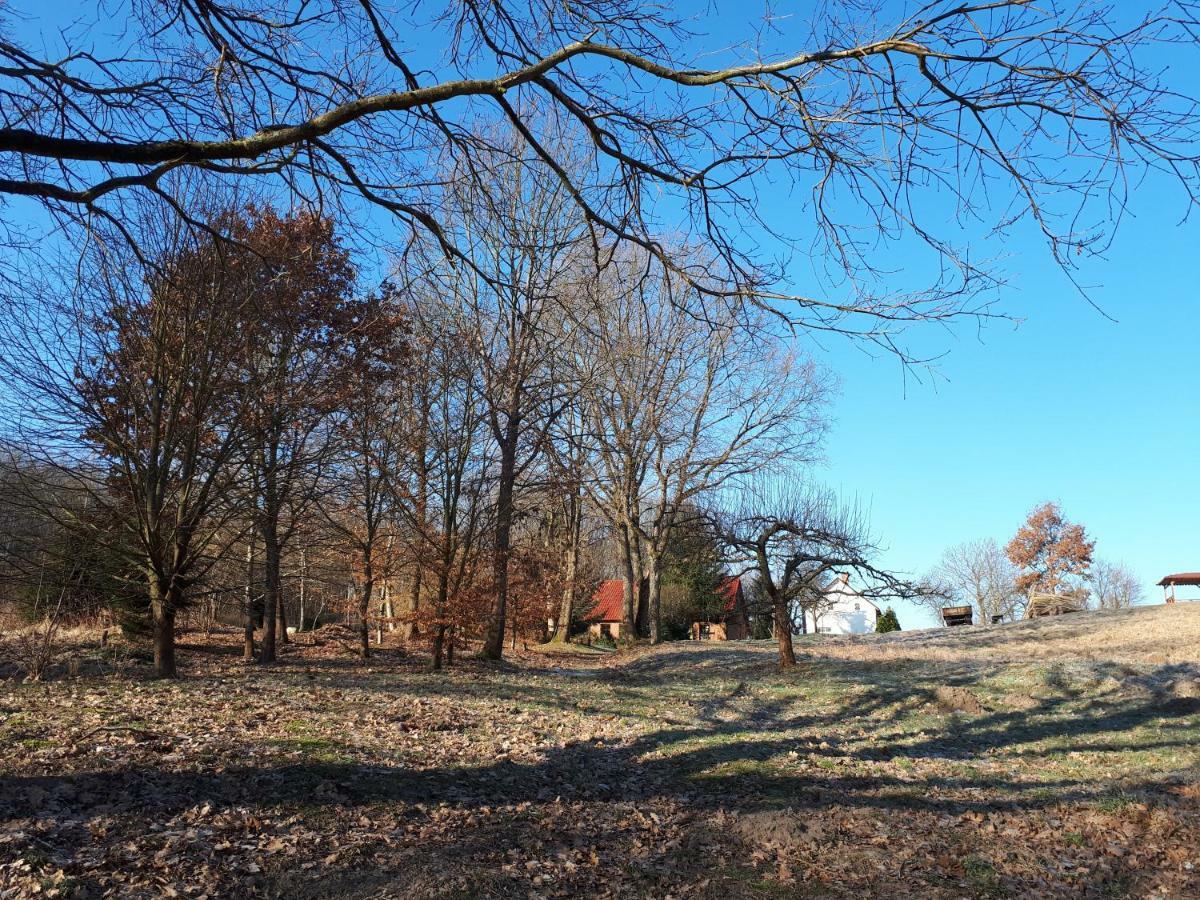 Villa Labadkowo Labedzie Esterno foto